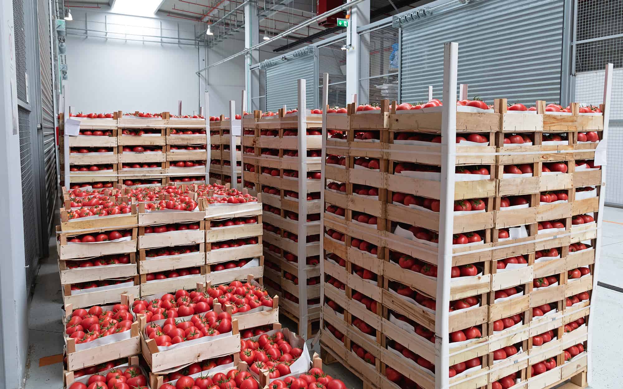 packaging considerations in food warehousing